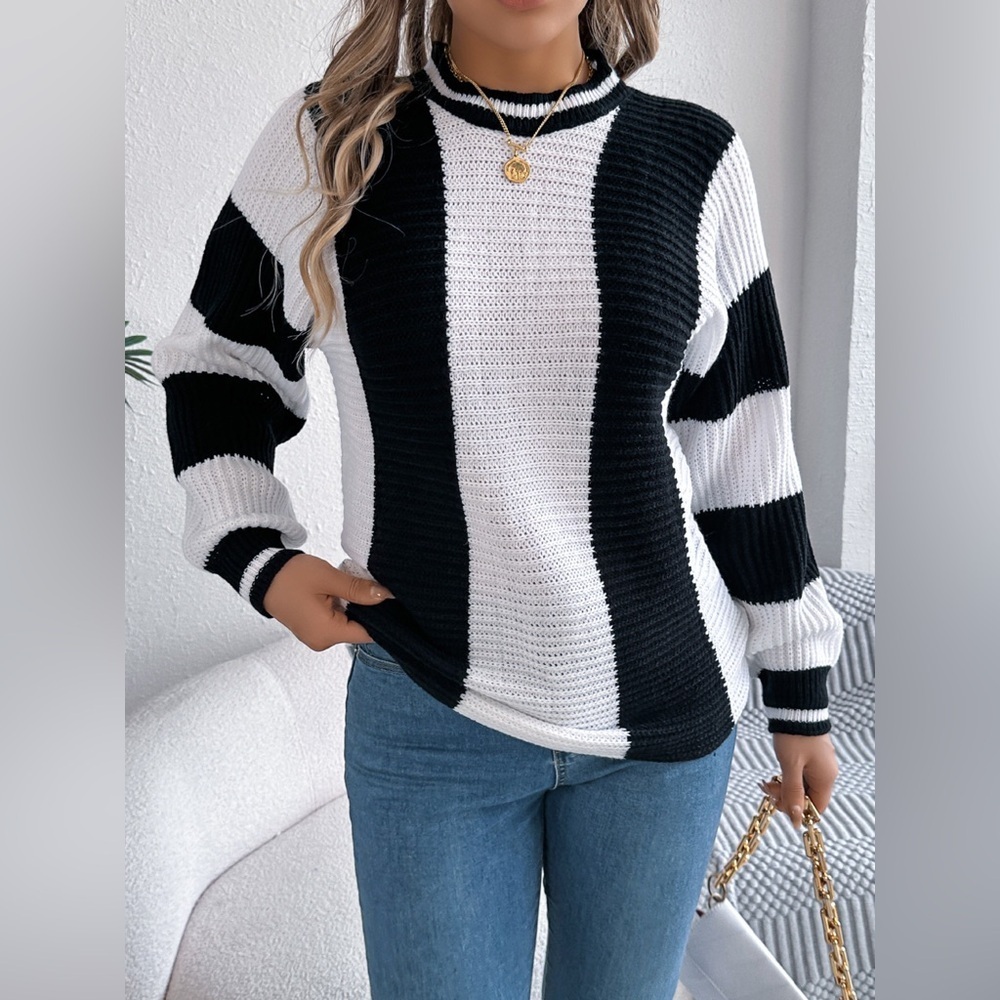 Color Block Round Neck Sweater - Picture 4 of 12